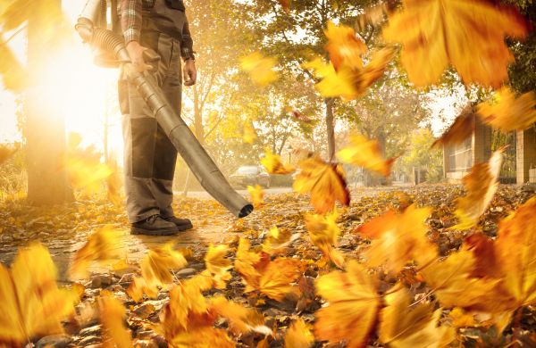 Leaf Blowing Service in Thousand Oaks