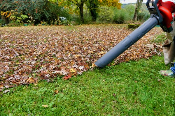 Leaf Vacuuming Service in Thousand Oaks