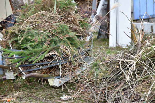 Yard Debris Removal in Thousand Oaks