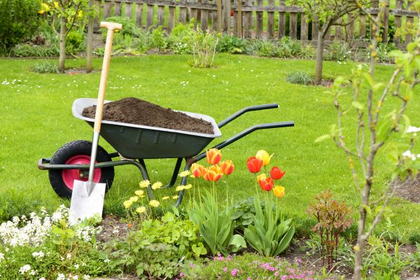 Spring Yard Cleanup in Thousand Oaks