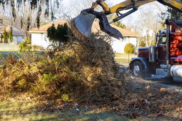 Storm Debris Removal in Thousand Oaks