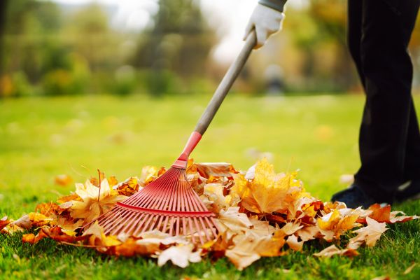 Ditch Leaf Removal in Thousand Oaks