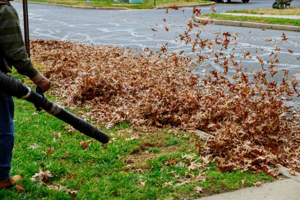 Garden Leaf Removal in Thousand Oaks