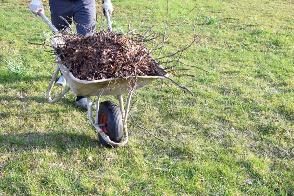 Yard Brush Removal in Thousand Oaks
