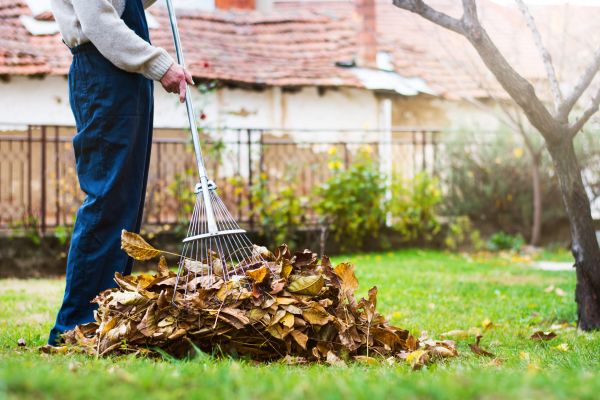 Spring Lawn Cleanup in Thousand Oaks