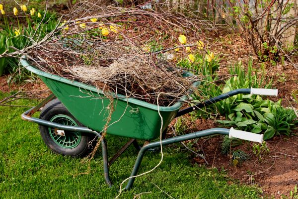 Lawn Waste Removal in Thousand Oaks