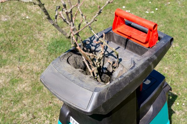 Brush Cleanup Service in Thousand Oaks