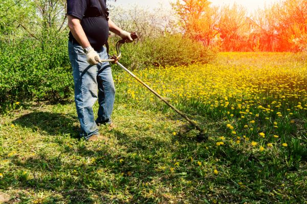 Cost of Yard Clearing Service in Thousand Oaks