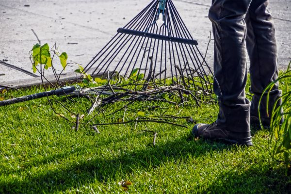 Yard Debris Cleanup in Thousand Oaks