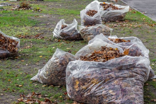 Leaf Pile Disposal in Thousand Oaks