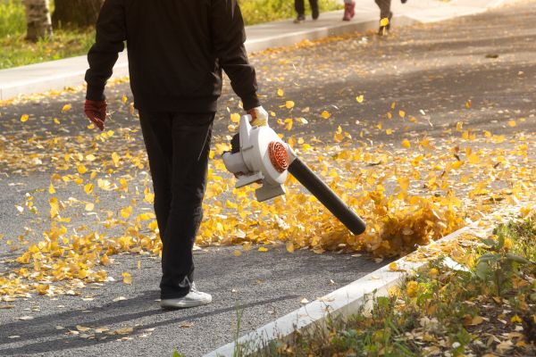 Commercial Leaf Removal in Thousand Oaks