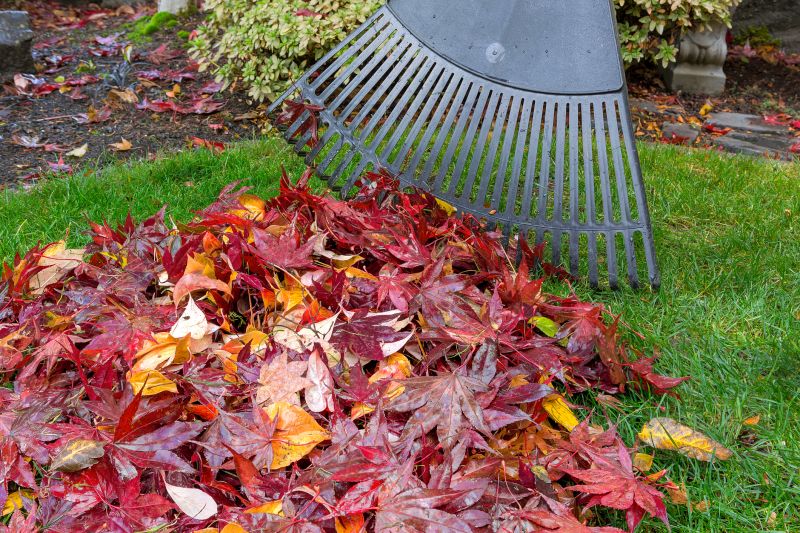 Tools for Fall Yard Care