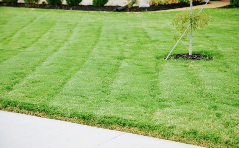 Trimmed and Edged Lawns
