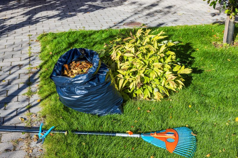 Seasonal Lawn Cleanup