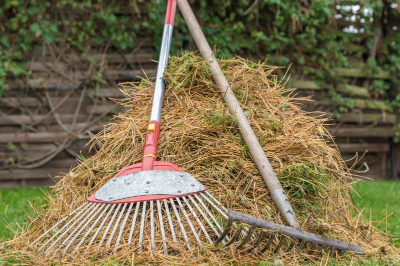 Pine Needle Raking